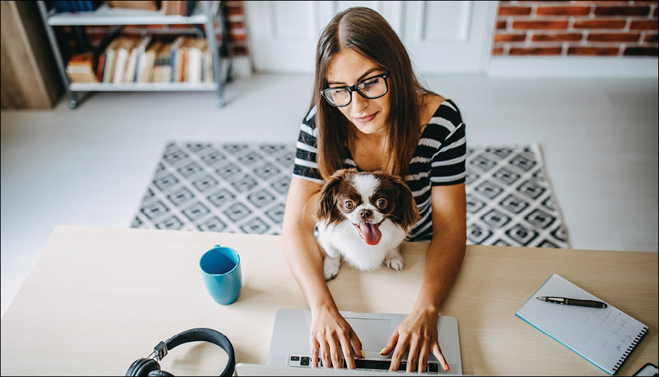 Solopreneur working with pet